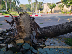 Deadly Hazards to Avoid After a Storm | Maggiano, DiGirolamo & Lizzi P.C. deadly hazards to avoid after a storm