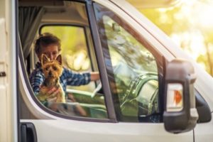 Senior Drivers With Pets in the Car at High Risk for Accidents | Maggiano, DiGirolamo & Lizzi P.C. senior-drivers-pets-car-high-risk-accidents