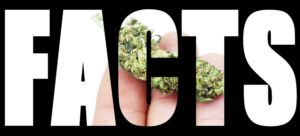 Drug Facts Chat Day This Friday! | Maggiano, DiGirolamo & Lizzi P.C. drug facts chat day this friday