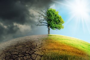global climate change and effects on children