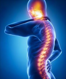 Fort Lee Spinal Cord Injuries Lawyer