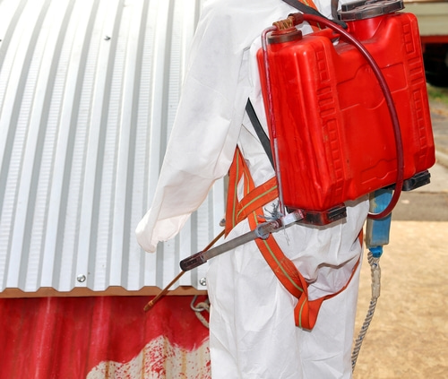 Worker in a protective suit using a backpack chemical sprayer